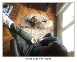 בטטת כורסא | שלומית לפיד | אה! השראה מעשית